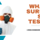 What is Surface Swab Testing 80x80